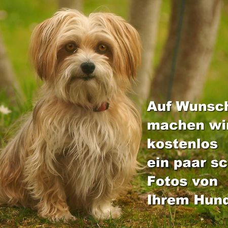 C2 Albmatte-Fewo , Hallenbad Aussenbecken Massagen Nebenan St. Blasien Buitenkant foto