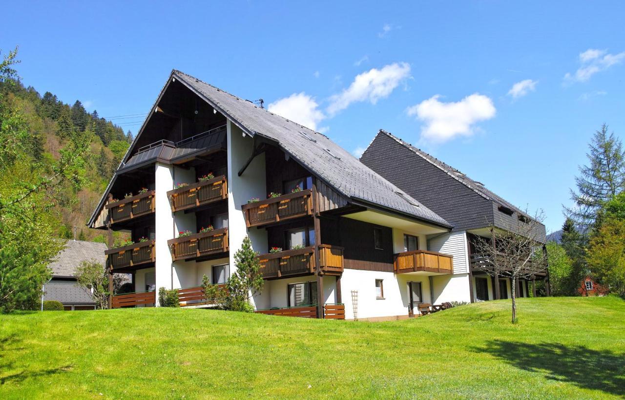 C2 Albmatte-Fewo , Hallenbad Aussenbecken Massagen Nebenan St. Blasien Buitenkant foto
