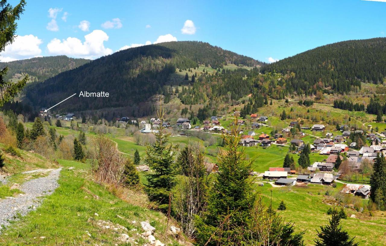 C2 Albmatte-Fewo , Hallenbad Aussenbecken Massagen Nebenan St. Blasien Buitenkant foto
