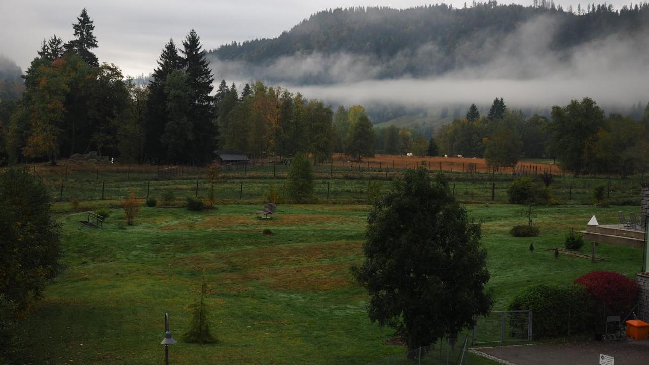 C2 Albmatte-Fewo , Hallenbad Aussenbecken Massagen Nebenan St. Blasien Buitenkant foto