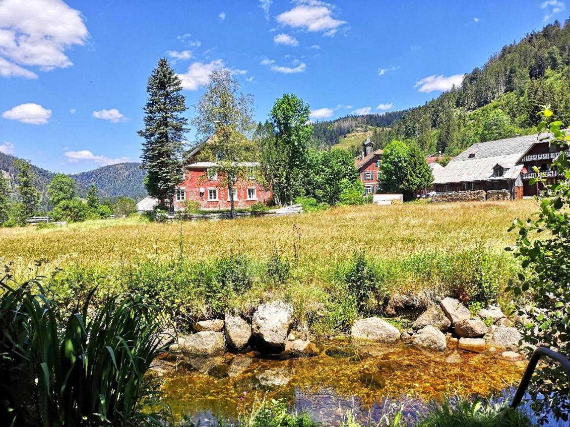 C2 Albmatte-Fewo , Hallenbad Aussenbecken Massagen Nebenan St. Blasien Buitenkant foto