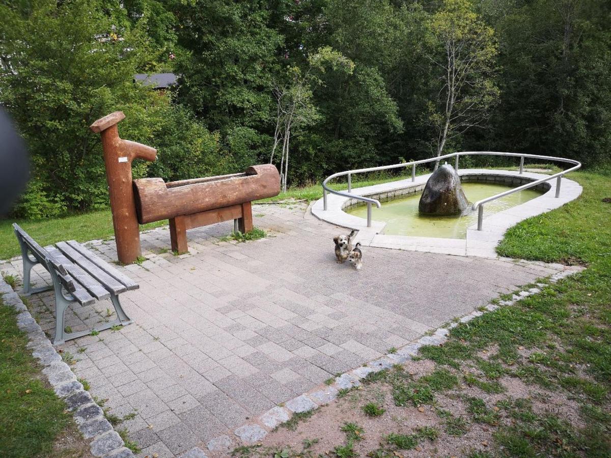 C2 Albmatte-Fewo , Hallenbad Aussenbecken Massagen Nebenan St. Blasien Buitenkant foto