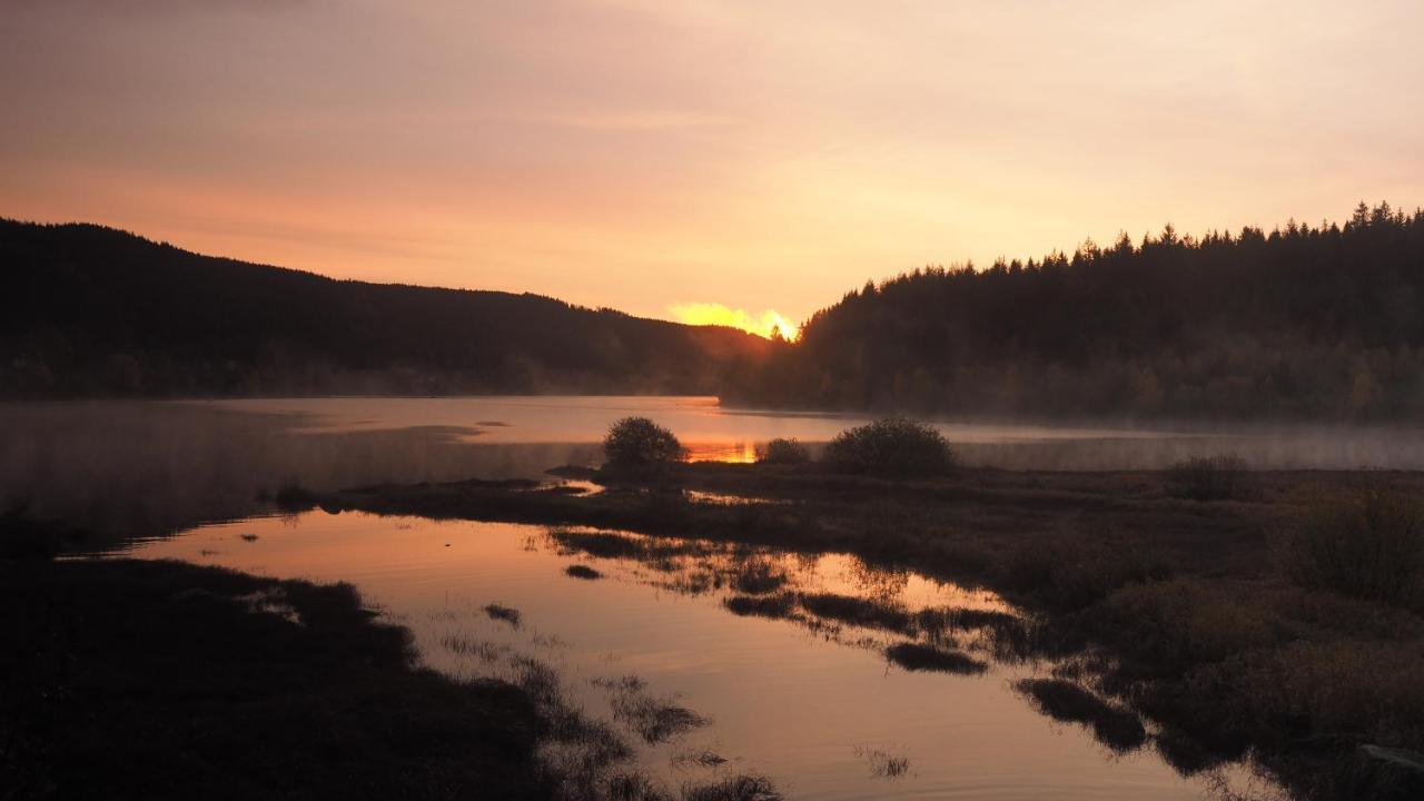 C2 Albmatte-Fewo , Hallenbad Aussenbecken Massagen Nebenan St. Blasien Buitenkant foto