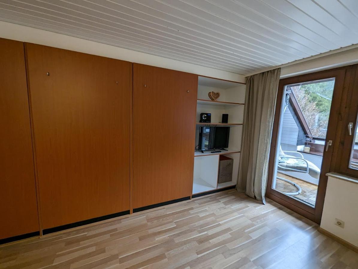 C2 Albmatte-Fewo , Hallenbad Aussenbecken Massagen Nebenan St. Blasien Buitenkant foto