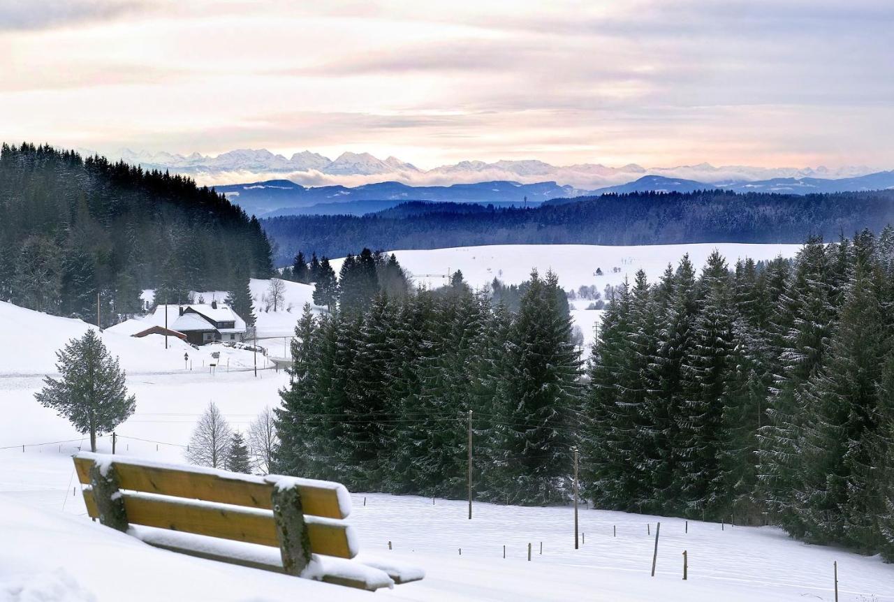 C2 Albmatte-Fewo , Hallenbad Aussenbecken Massagen Nebenan St. Blasien Buitenkant foto