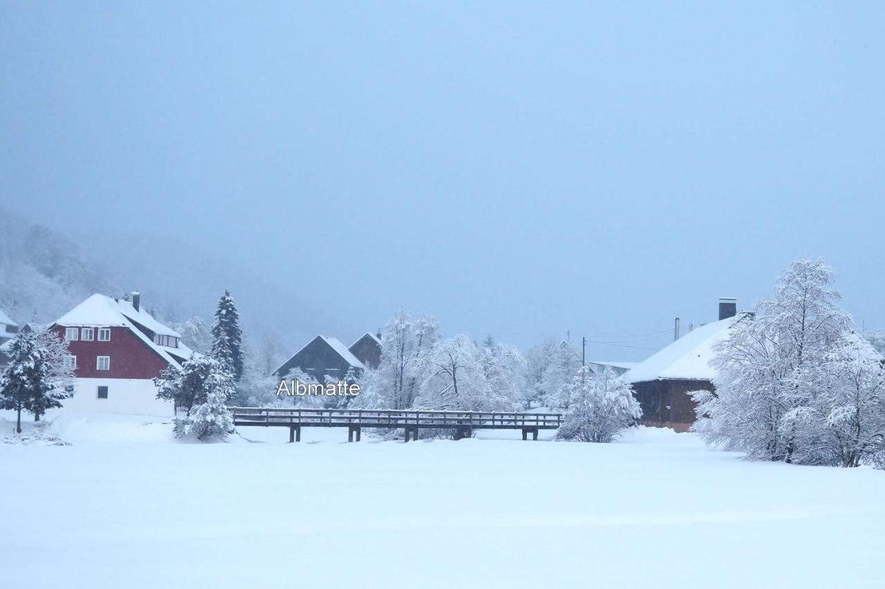 C2 Albmatte-Fewo , Hallenbad Aussenbecken Massagen Nebenan St. Blasien Buitenkant foto