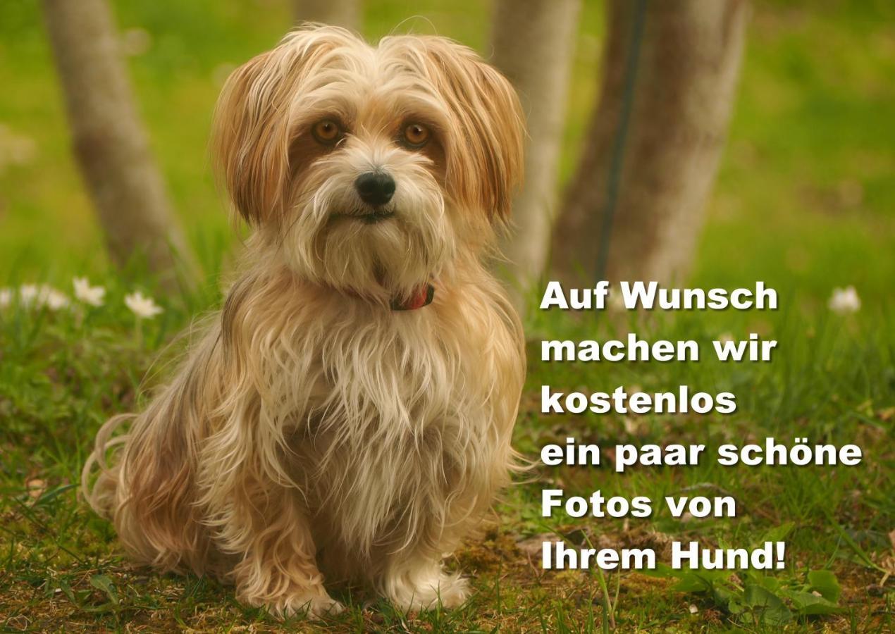 C2 Albmatte-Fewo , Hallenbad Aussenbecken Massagen Nebenan St. Blasien Buitenkant foto