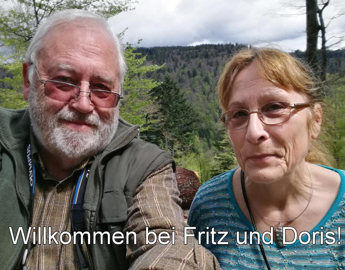 C2 Albmatte-Fewo , Hallenbad Aussenbecken Massagen Nebenan St. Blasien Buitenkant foto