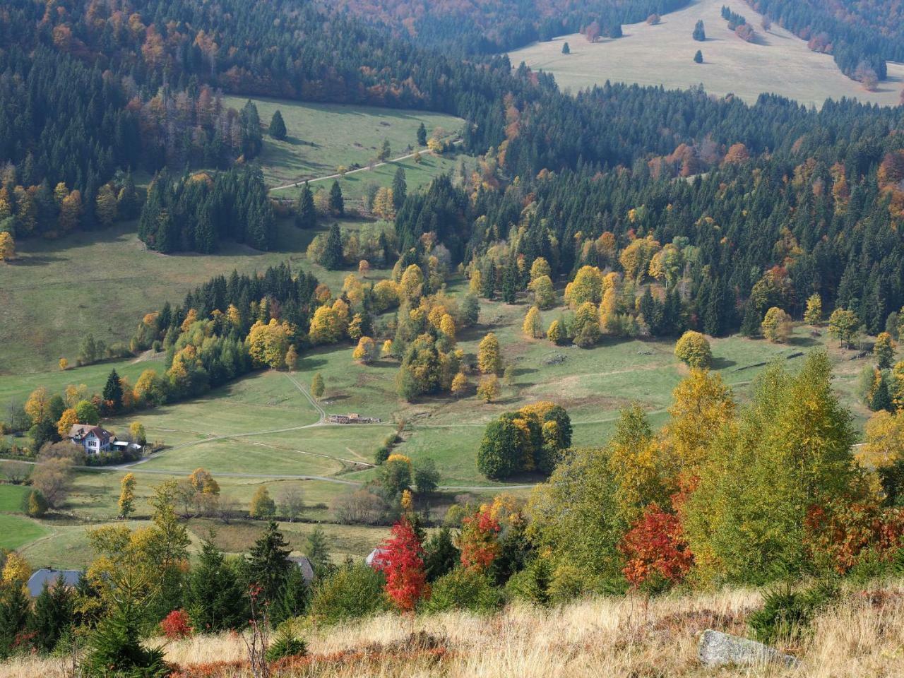 C2 Albmatte-Fewo , Hallenbad Aussenbecken Massagen Nebenan St. Blasien Buitenkant foto