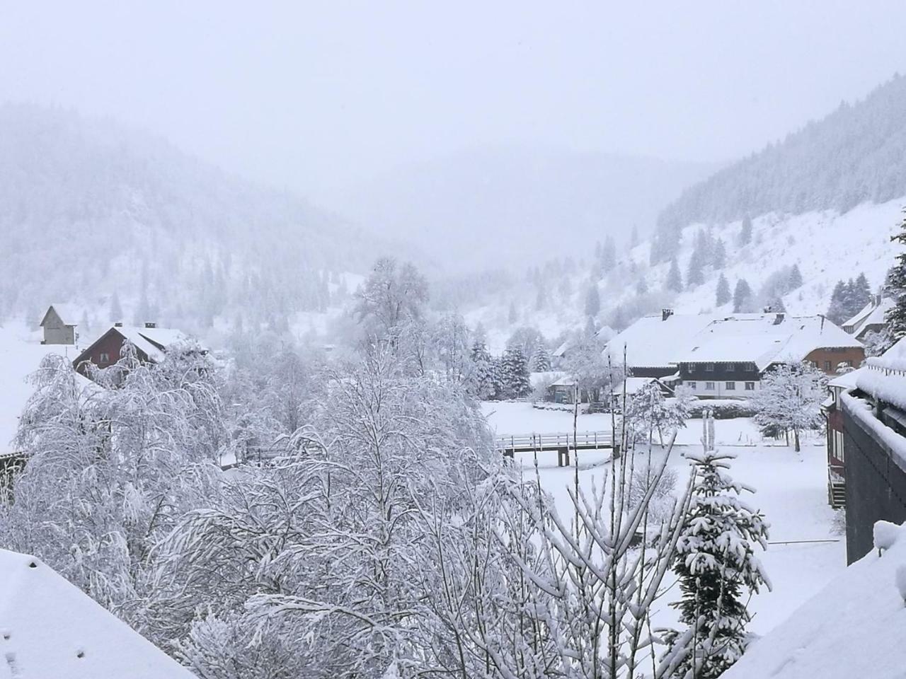 C2 Albmatte-Fewo , Hallenbad Aussenbecken Massagen Nebenan St. Blasien Buitenkant foto