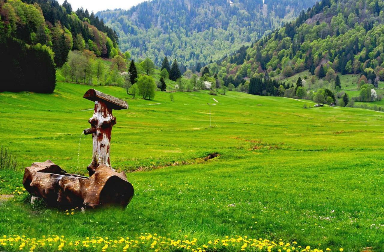 C2 Albmatte-Fewo , Hallenbad Aussenbecken Massagen Nebenan St. Blasien Buitenkant foto