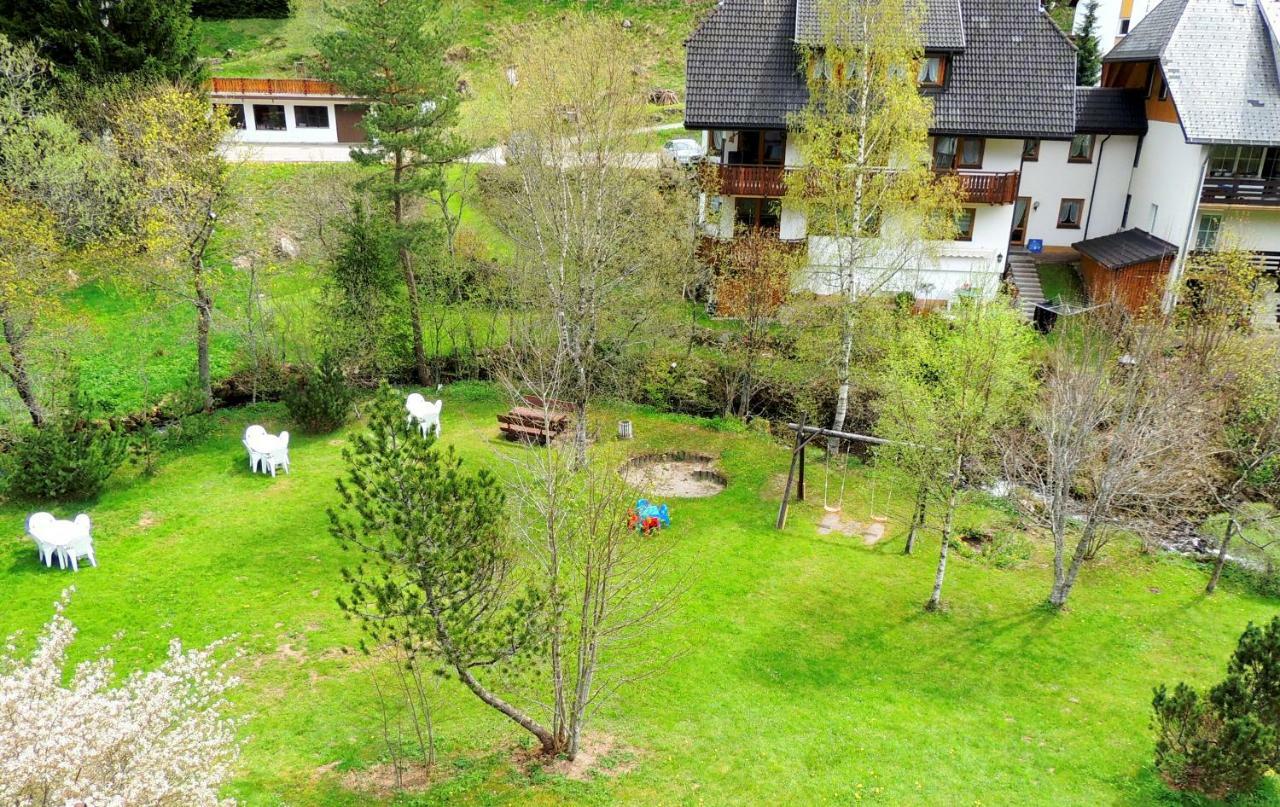 C2 Albmatte-Fewo , Hallenbad Aussenbecken Massagen Nebenan St. Blasien Buitenkant foto