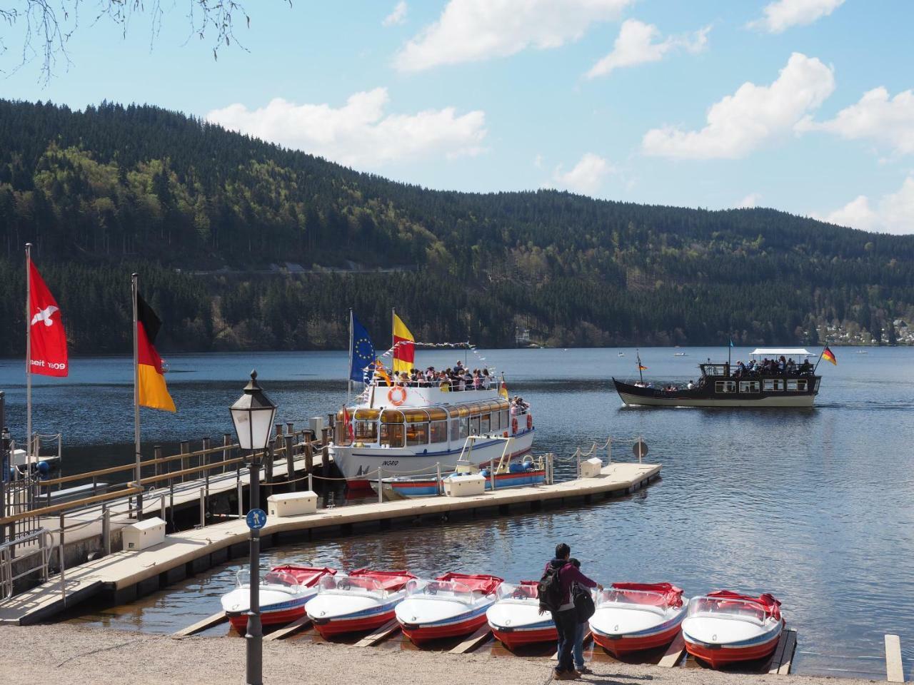 C2 Albmatte-Fewo , Hallenbad Aussenbecken Massagen Nebenan St. Blasien Buitenkant foto