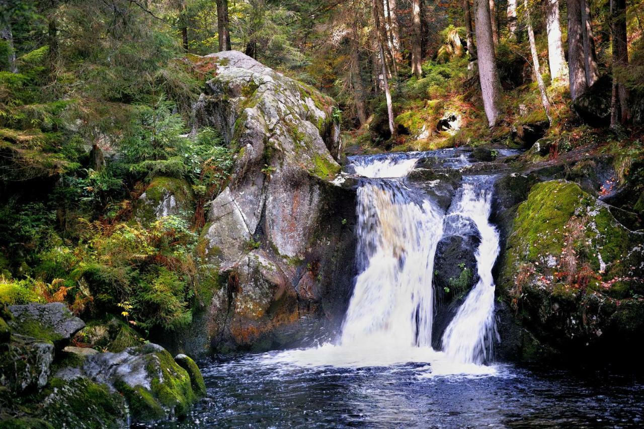 C2 Albmatte-Fewo , Hallenbad Aussenbecken Massagen Nebenan St. Blasien Buitenkant foto