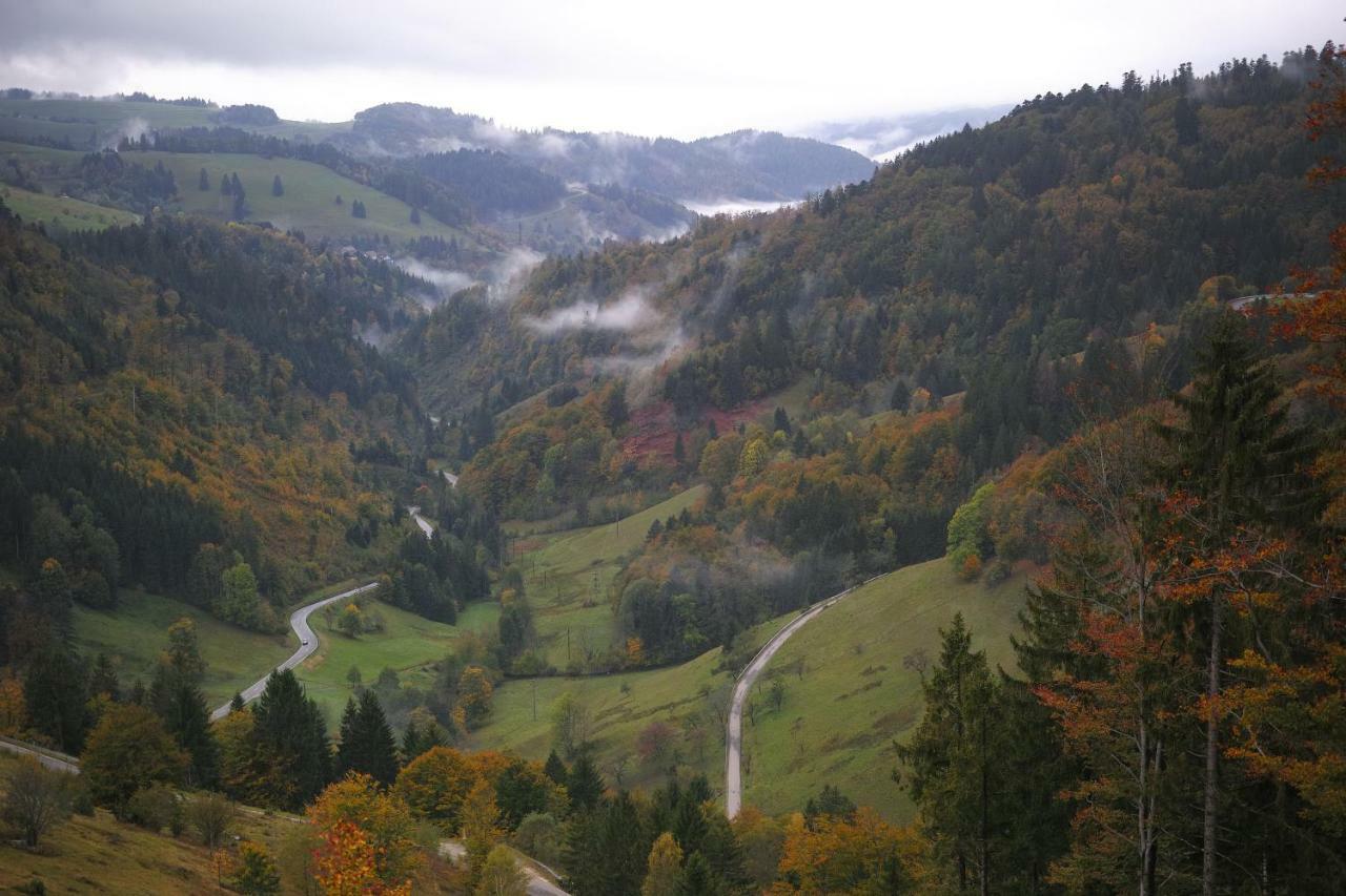 C2 Albmatte-Fewo , Hallenbad Aussenbecken Massagen Nebenan St. Blasien Buitenkant foto